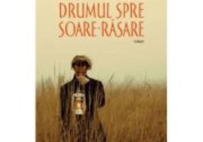 Drumul spre Soare-Rasare - Ioana Nicolaie