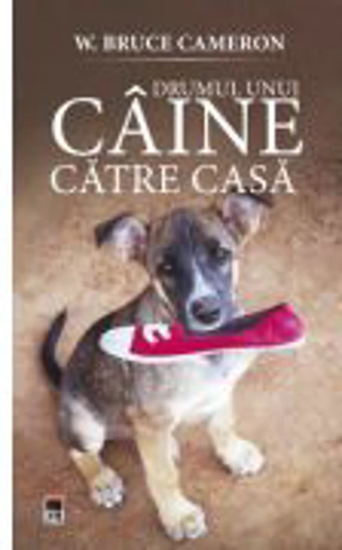 Drumul unui caine catre casa - W. Bruce Cameron