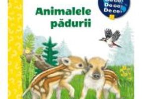 Animalele padurii - Patricia Mennen