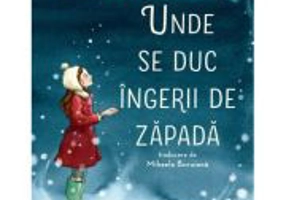 Unde se duc ingerii de zapada - Maggie O'Farrell
