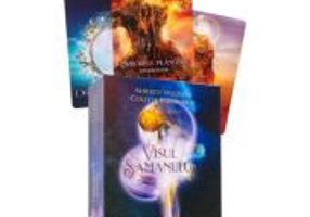 Visul samanului. Set carti-oracol + ghid - Alberto Villoldo