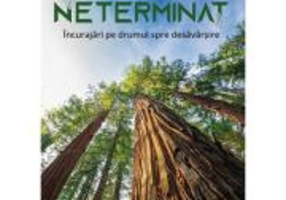 Neterminat - Christine Caine