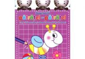 Deseneaza patratel cu patratel. Mov