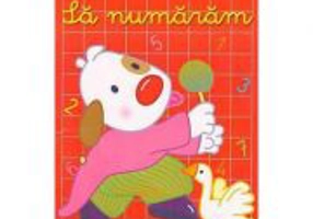 Dubi ne invata Sa numaram