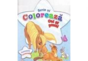 Scrie si coloreaza cai si ponei. Bleu