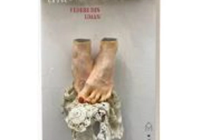 Vedere din Uman - Mugur Grosu