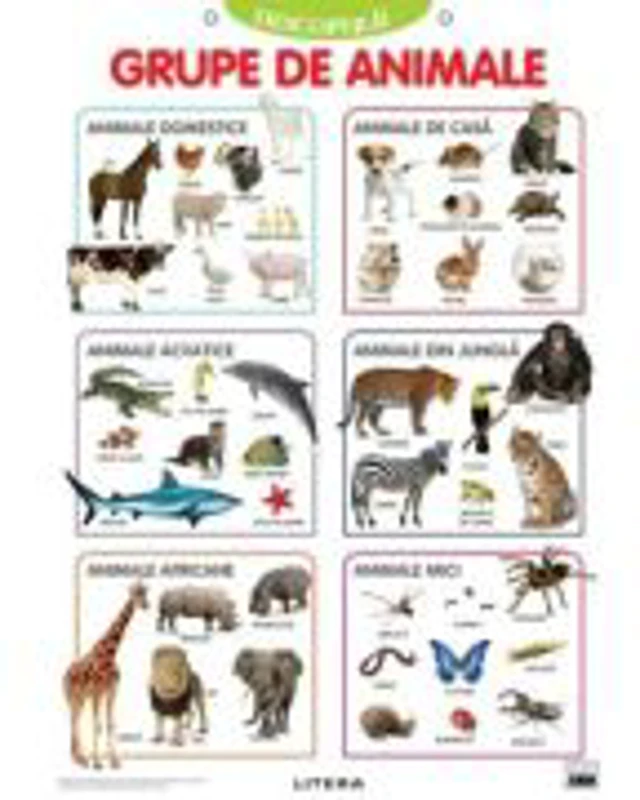 Descopera! Grupe de animale (planse educationale)