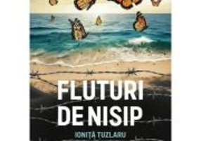 Fluturi de nisip - Ionita Tuzlaru