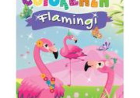 Coloreaza - Flamingi