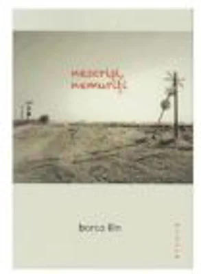 Nescrisi, nemuriti - Borco Ilin