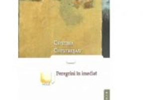 Peregrini in imediat - Cristina Cheveresan