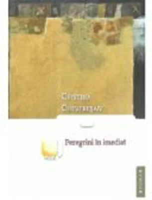 Peregrini in imediat - Cristina Cheveresan