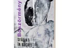 Sfasiat in bucati - Zoltan Boszormenyi
