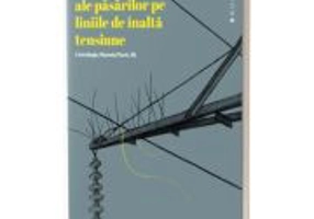 aripile cenusii ale pasarilor pe liniile de inalta tensiune, Antologia Mornin’ Poets II