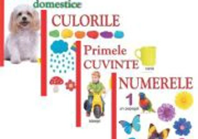 Pachet 4 carti pentru copii, culorile, animele domestice, numerele, primele cuvinte - Diana Rotaru