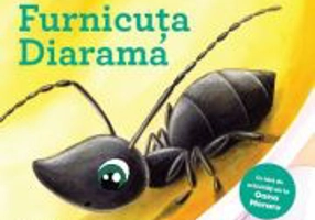 Furnicuta Diarama - Olina Ortiz