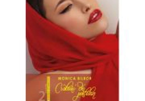 Cioburi de portelan - Monica Bilbor