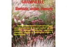 Gramineele. Alimentatie, sanatate, frumusete - Ennio Lazzarini