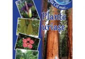 Plante uriase - Adina Grigore