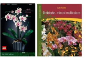 Secret Shelf: Gradina Magica a Orhideelor – Set LEGO si Carte Inspiratoare