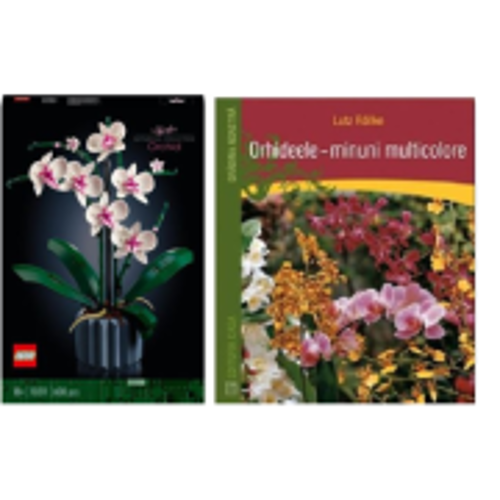 Secret Shelf: Gradina Magica a Orhideelor – Set LEGO si Carte Inspiratoare