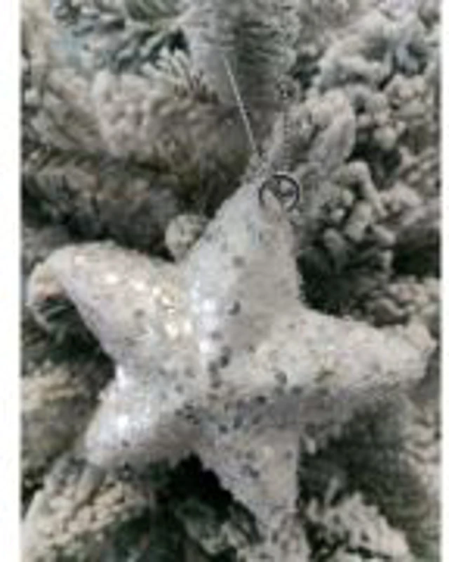 Glob steluta alba Xmas 12 cm (A2-31934)