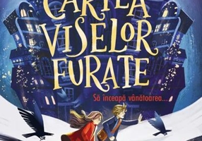 Cartea viselor furate - Paperback brosat - David Farr - Corint Junior