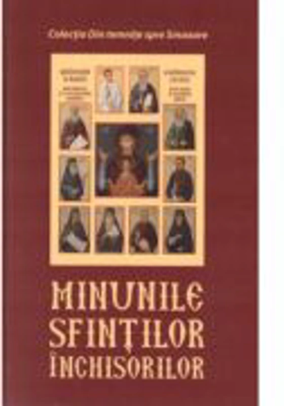 Minunile sfintilor inchisorilor - Danion Vasile
