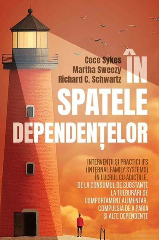 În spatele dependențelor - Paperback brosat - Cece Sykes, Martha Sweezy, Richard C. Schwartz - Herald