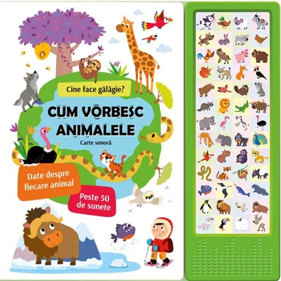 Vehicule zgomotoase: Carte sonoră - Board book - Prut