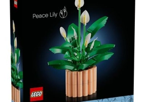 LEGO Botanicals. Crinul pacii 11504, 474 piese