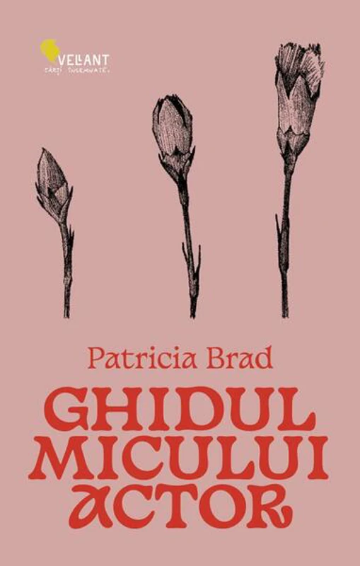 Ghidul micului actor - Paperback brosat - Vellant