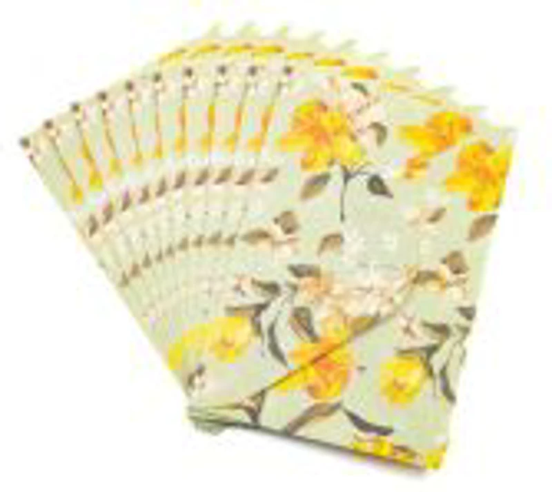 Plic color CNX, diverse culori, 110x160mm, model cu narcisa, set 10 buc