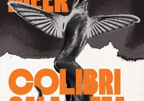 Colibri salamandră - Paperback brosat - Nemira