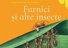 Furnici și alte insecte - Hardcover - Olivia Brookes - Nemira