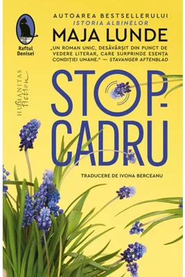 Stop-cadru