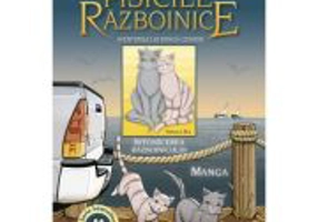 Vol. 3 Manga Pisicile Razboinice. Aventurile lui Dunga Cenusie - Intoarcerea Razboinicului - Erin Hunter