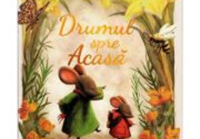 Drumul spre acasa - Simon Howe