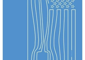 Brancusi impotriva Statelor Unite. Carte - program realizata de George Banu