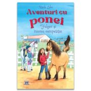 Aventuri cu ponei. Fulger si marea competitie, volumul 3 - Usch Luhn
