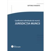 Conflicte individuale de munca. Jurisdictia muncii - Septimiu Panainte