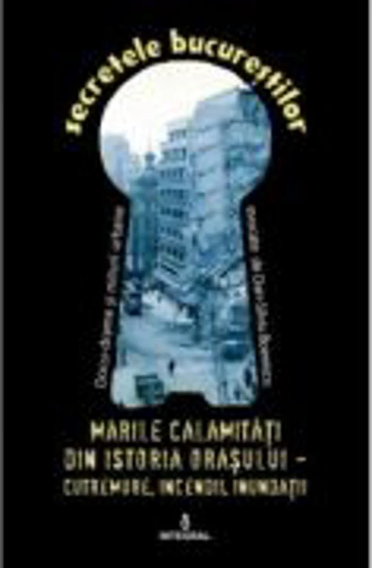 Marile calamitati din istoria orasului. Cutremure, incendii, inundatii, epidemii - Dan-Silviu Boerescu