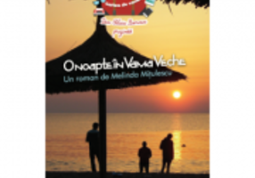 O noapte in Vama Veche - Dan-Silviu Boerescu