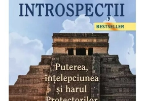 Cele 4 introspectii