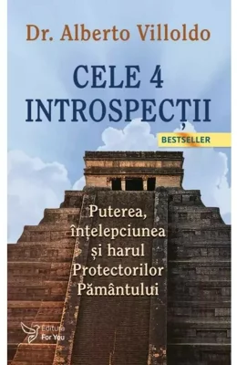 Cele 4 introspectii