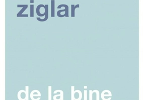 DE LA BINE LA EXCELENT