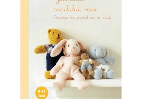 Jurnalul copilului meu