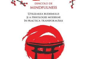 ZEN DINCOLO DE MINDFULNESS