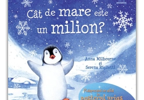 Cat de mare este un milion?