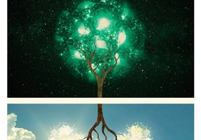 Boala - o memorie genealogica: cum sa-ti interpretezi istoria familiala pentru a te vindeca